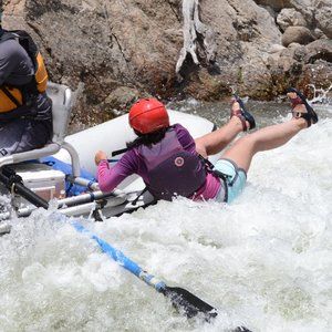 Meet your Posher, Nicole